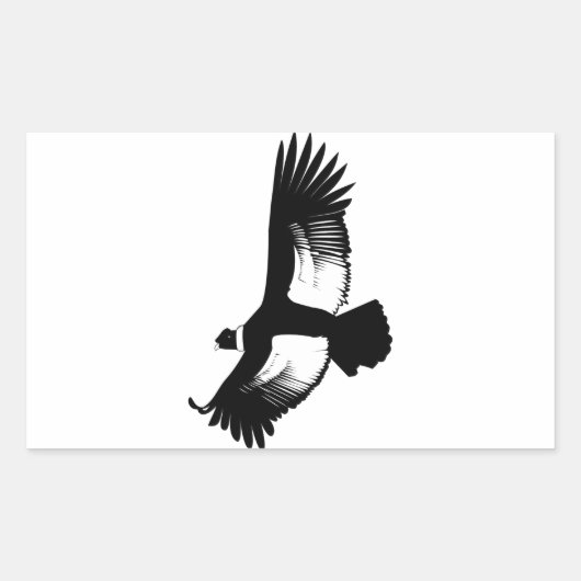 Sticker Rectangulaire Flying Andean Condor (Devant)