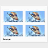 Sticker Rectangulaire Flying Mallard Duck Drake Wildlife Photo (Feuille)