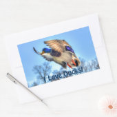 Sticker Rectangulaire Flying Mallard Duck Drake Wildlife Photo (Enveloppe)