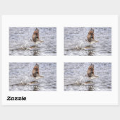 Sticker Rectangulaire Flying Osprey & Fish HDR Wildlife Photo Don (Feuille)