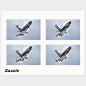 Sticker Rectangulaire Flying Osprey with Walleye Fishing HDR Photo (Feuille)