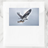 Sticker Rectangulaire Flying Osprey with Walleye Fishing HDR Photo (Sac)