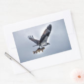 Sticker Rectangulaire Flying Osprey with Walleye Fishing HDR Photo (Enveloppe)