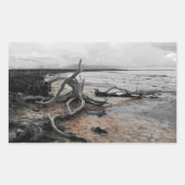 Sticker Rectangulaire Forces naturelles du lac Tyrrell (Devant)