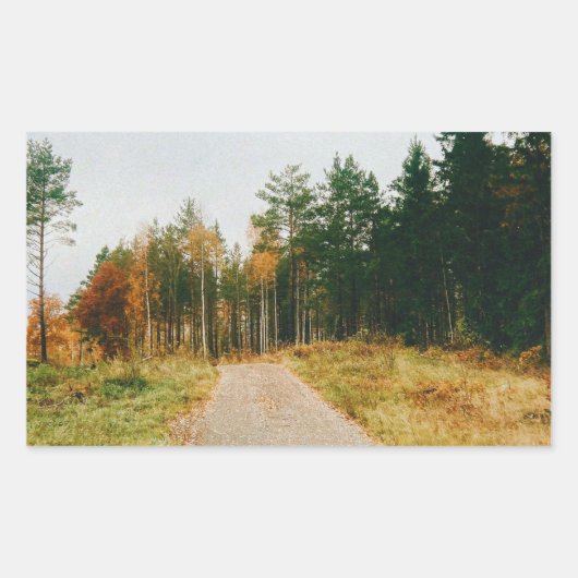 Sticker Rectangulaire Forêt automnale suédoise (Devant)