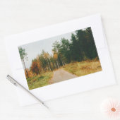 Sticker Rectangulaire Forêt automnale suédoise (Enveloppe)