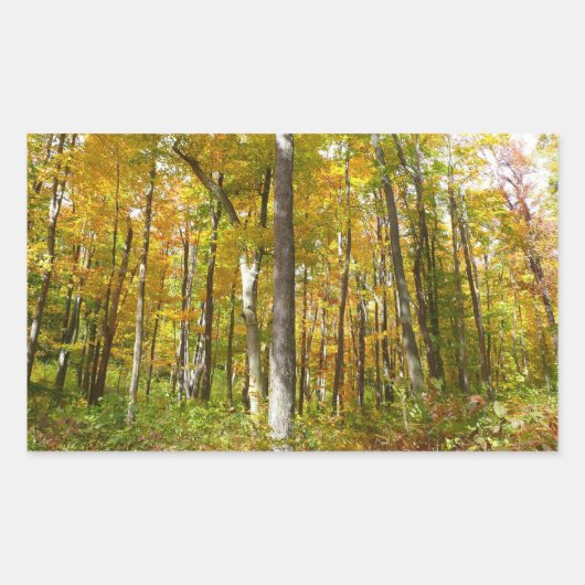 Sticker Rectangulaire Forêt du paysage d'automne Feuille Jaune (Devant)