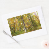 Sticker Rectangulaire Forêt du paysage d'automne Feuille Jaune (Enveloppe)