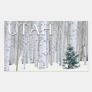 Sticker Rectangulaire Forêt nationale de Manti-LaSal, Utah
