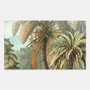 Sticker Rectangulaire Fougères Palmier Antique Botanique Fougères Art