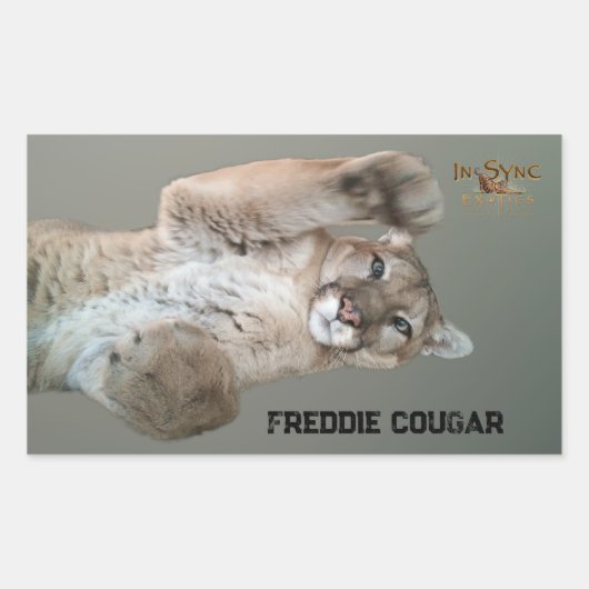 Sticker Rectangulaire Freddie Cougar (Devant)