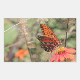 Sticker Rectangulaire Fritillaire du Golfe sur Zinnia