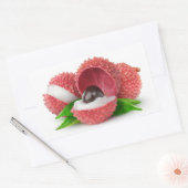 Sticker Rectangulaire Fruits de litchee coupés (Enveloppe)