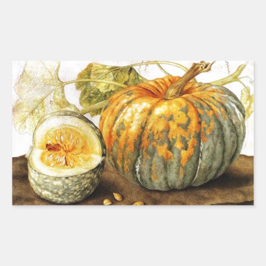 STICKER RECTANGULAIRE FRUITS DE SAISON / CITROUILLE (Devant)