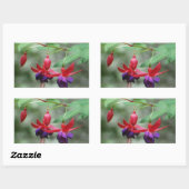Sticker Rectangulaire Fuschia1A.jpg (Feuille)
