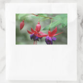 Sticker Rectangulaire Fuschia1A.jpg (Sac)
