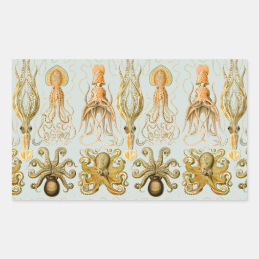 Sticker Rectangulaire Gamochonia d'Ernst Haeckel (Devant)