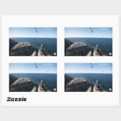 Sticker Rectangulaire Gannets du Nord (Feuille)