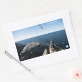 Sticker Rectangulaire Gannets du Nord (Enveloppe)