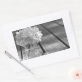 Sticker Rectangulaire Gardenias (Enveloppe)