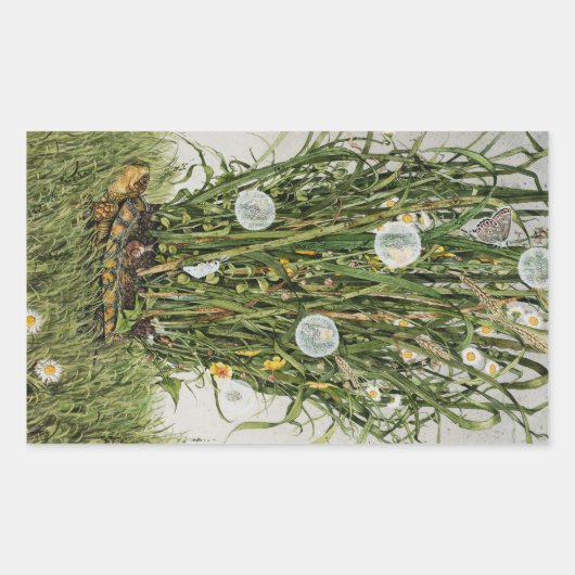 Sticker Rectangulaire Gazon égaré (Devant)