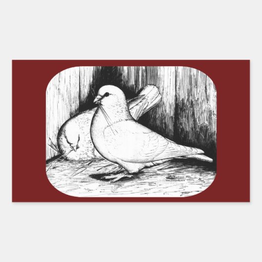 Sticker Rectangulaire Géant Runt Pigeons (Devant)