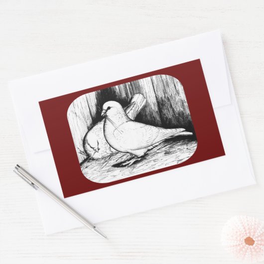 Sticker Rectangulaire Géant Runt Pigeons (Enveloppe)