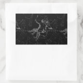 Sticker Rectangulaire Gemini Constellation Map 1690 (Sac)