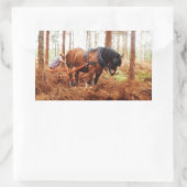 Sticker Rectangulaire Gentle Giant (Sac)