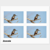 Sticker Rectangulaire Giant Kingfisher (Feuille)