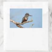 Sticker Rectangulaire Giant Kingfisher (Sac)