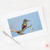 Sticker Rectangulaire Giant Kingfisher (Enveloppe)
