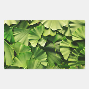 Sticker Rectangulaire ginkgo biloba feuille nature texture plante