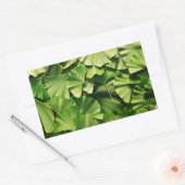 Sticker Rectangulaire ginkgo biloba feuille nature texture plante (Enveloppe)