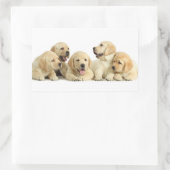 Sticker Rectangulaire Golden Labrador Pupile (Sac)
