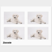 Sticker Rectangulaire Golden Retriever (Feuille)