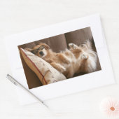 Sticker Rectangulaire Golden Retriever endormi sur Coussin (Enveloppe)