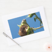 Sticker Rectangulaire Goldfinch (Enveloppe)