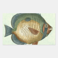 Grand Poisson Coloré