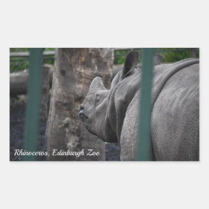 Sticker Rectangulaire Grand rhinocéros à une corne au zoo d'Édimbourg