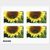 Sticker Rectangulaire Grand tournesol jaune (Feuille)