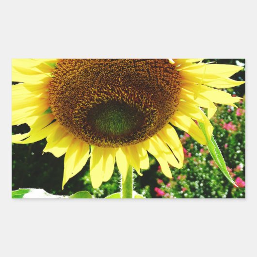 Sticker Rectangulaire Grand tournesol jaune (Devant)
