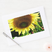 Sticker Rectangulaire Grand tournesol jaune (Enveloppe)