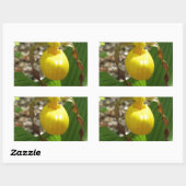 Sticker Rectangulaire Grande Chaussure-Dame Jaune Cypripedium (Feuille)