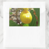 Sticker Rectangulaire Grande Chaussure-Dame Jaune Cypripedium (Sac)