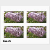 Sticker Rectangulaire Grappe de fleurs de Lilac Printemps Floral (Feuille)