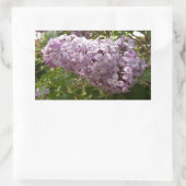 Sticker Rectangulaire Grappe de fleurs de Lilac Printemps Floral (Sac)