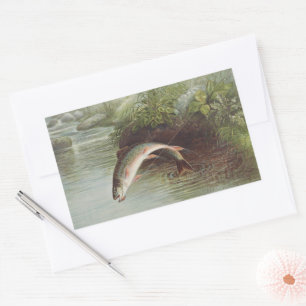 Sticker Rectangulaire Gravure ancienne de pêche à la mouche : truite de 