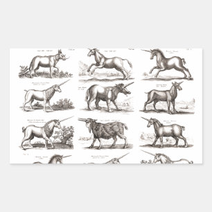 Sticker Rectangulaire Gravure de Licorne Antique Spécimen de Zoologie Vi