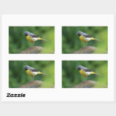 Sticker Rectangulaire Gray Wagtail - oiseau (Feuille)